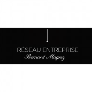Logo Réseau Entreprise Bernard Magrez