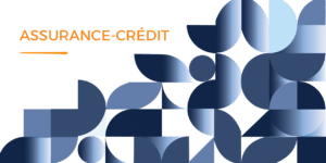 Articles ASSURANCE-CREDIT